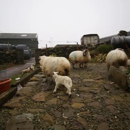 Gamekeepers * Dingle